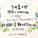 저르 이미지