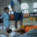 신호농장 이미지