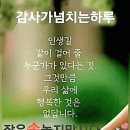 에구... 여름날씨가 왜 이리 추워? 이미지