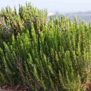 리비스(주) 이미지