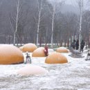 호우목장 이미지