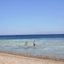 프리월드 | 용인 프리다이빙 강사 비용 얼마 자격증 현실 후기 정리