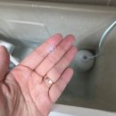 오브민 이미지