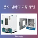티엔피주 이미지