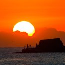 몰운대농장 이미지