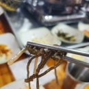 해조쭈꾸미볶음 이미지