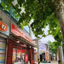 통통(Tong Tong) 이미지