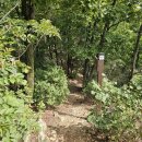 중원계곡(주차장) 이미지