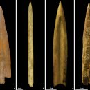 중부OA | 선사 시대 아르헨티나의 조직적인 수공예 생산을 보여주는 고대 뼈 화살촉