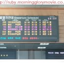 디오션크루즈 이미지