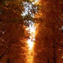 거기에/거기에서 이미지