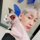 청춘 고양이 카페 이미지