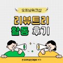 [한대협 41기] 한국대학생인재협회 리뷰트리 활동 후기