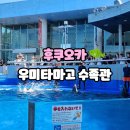 301-1-000006 | 후쿠오카 오이타 우미타마고 수족관 후기🐬 3살·7살 아이랑 입장료·교통·주차·쇼타임·물돌고래쇼...