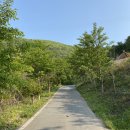 포항 글램핑장 추천 엘포리글램핑 마운틴뷰 대구근교글램핑