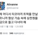 타코비 이미지