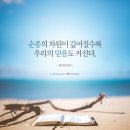 비비어 이미지