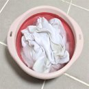 대야실버