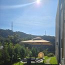 포리애견 이미지