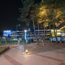 별시도룩 이미지