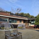 똥싼 강아지 펫아울렛 | 엄청 넓은 잔디와 산책로가 있는 강아지 동반 가능한 파주 신세계 아울렛 근방 대형 브런치 카페 로빈...