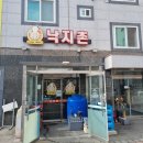 낙지촌 | 전남 화순 맛집 낙지촌 후기 연포탕 낙지비빔밥