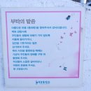 동피랑마을 이미지