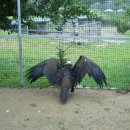 백운농장 이미지