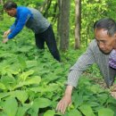 진동계곡마을 이미지