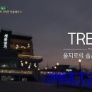 호랑이카페