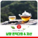 온직다원 이미지