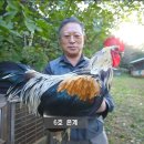 현인농장 이미지