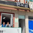 완도곰 이미지