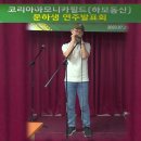 하모니카필드학원