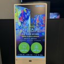 빛의 벙커 (제주 성산 AMIEX 전시관) | 제주 성산 1000평 미디어아트 전시, 실내 관광지 추천 I 빛의 벙커