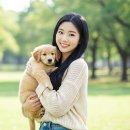 진성축산 | 애견 수제간식 창업 준비부터 허가, 판매까지 총정리