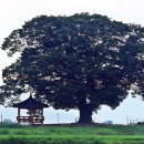 주일 축제예배 자막 이미지