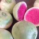 수박무=면역력 올리는데는 최고 이미지