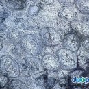 상주 운평리 구상화강암 이미지