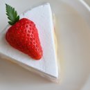 커피랑도서관 강릉교동점 | 커피아워 강릉디저트카페 강릉카페추천 교동 감성카페