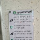 바미네일레푸스용인