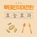 주식회사 유니바이오 서울지점 | 루테인지아잔틴 부작용, 효과 솔직 사용기 눈 건강 루틴 점검