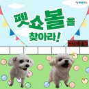 견주당 이미지