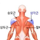 서오상부 이미지