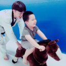 백송영재 이미지