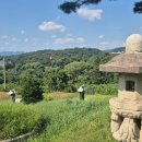 강지선생묘 이미지