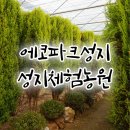 경남 양산 관광 여행 부산근교 나들이 / 양산 가볼만한곳! 법기수원지 근처, 에코파크성지-성지체험농원