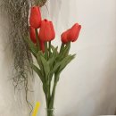 옐로우노래짱 이미지