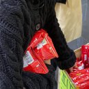 꽃보라동산 이미지