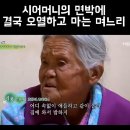 시어머니의 면박에 결국 오열하는 며느리 이미지